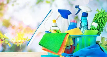 Professional Housekeeping Services